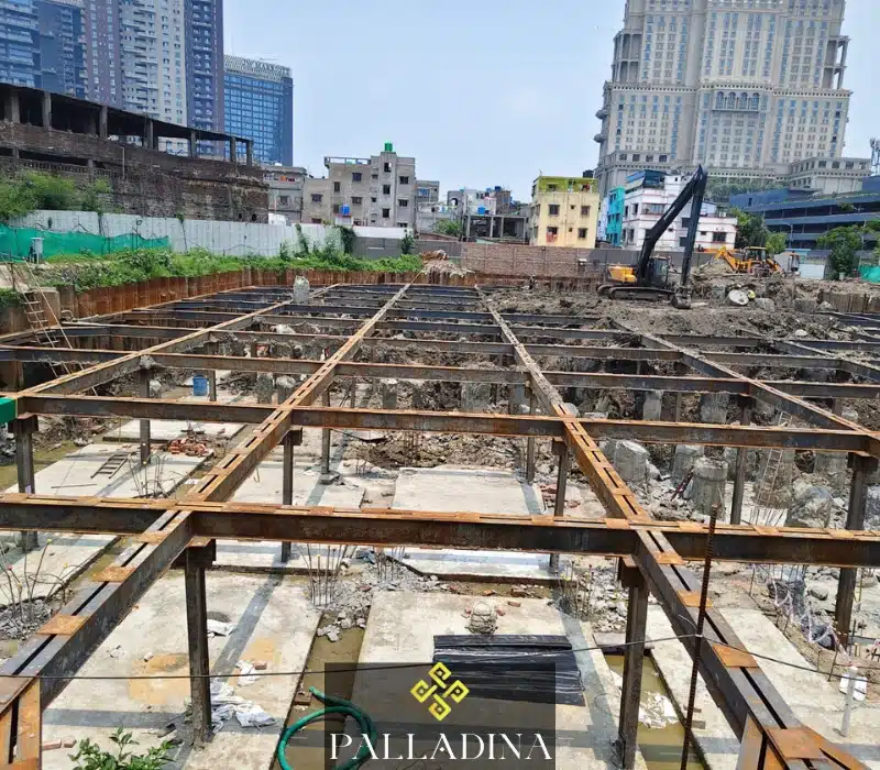 Srijan palladina construction update 2026 1